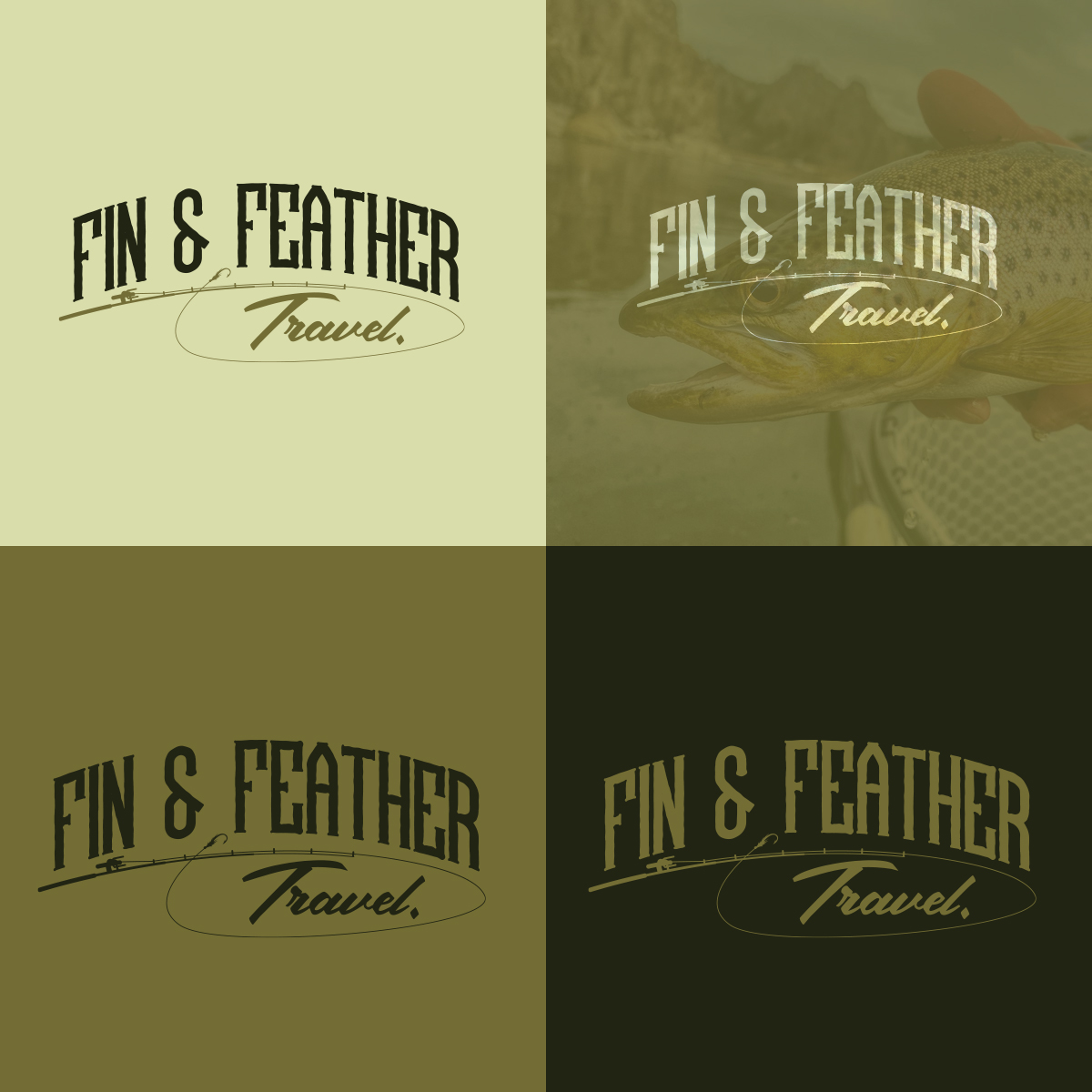 fin and feater